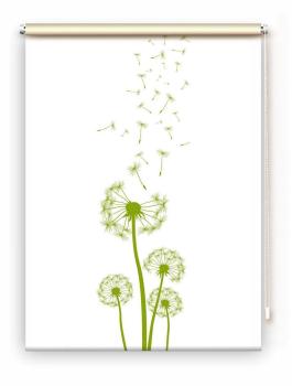 Rollo Dandelions green  , Rollo, Motivrollo, Rollo mit Druck, Fotorollo, bedrucktes Rollo, Fensterrollo,verdunkelndes Rollo, Sonnenschutz Rollo